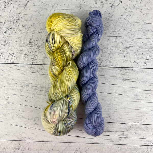 Fleurs des champs (115g) + Pôle Nord (35g) - Ensemble de laine pour bas SW merino/nylon, prête à partir