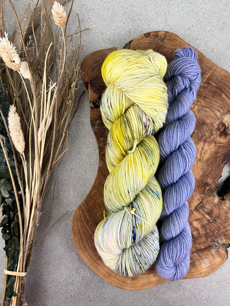 Fleurs des champs (115g) + Pôle Nord (35g) - Ensemble de laine pour bas SW merino/nylon, prête à partir