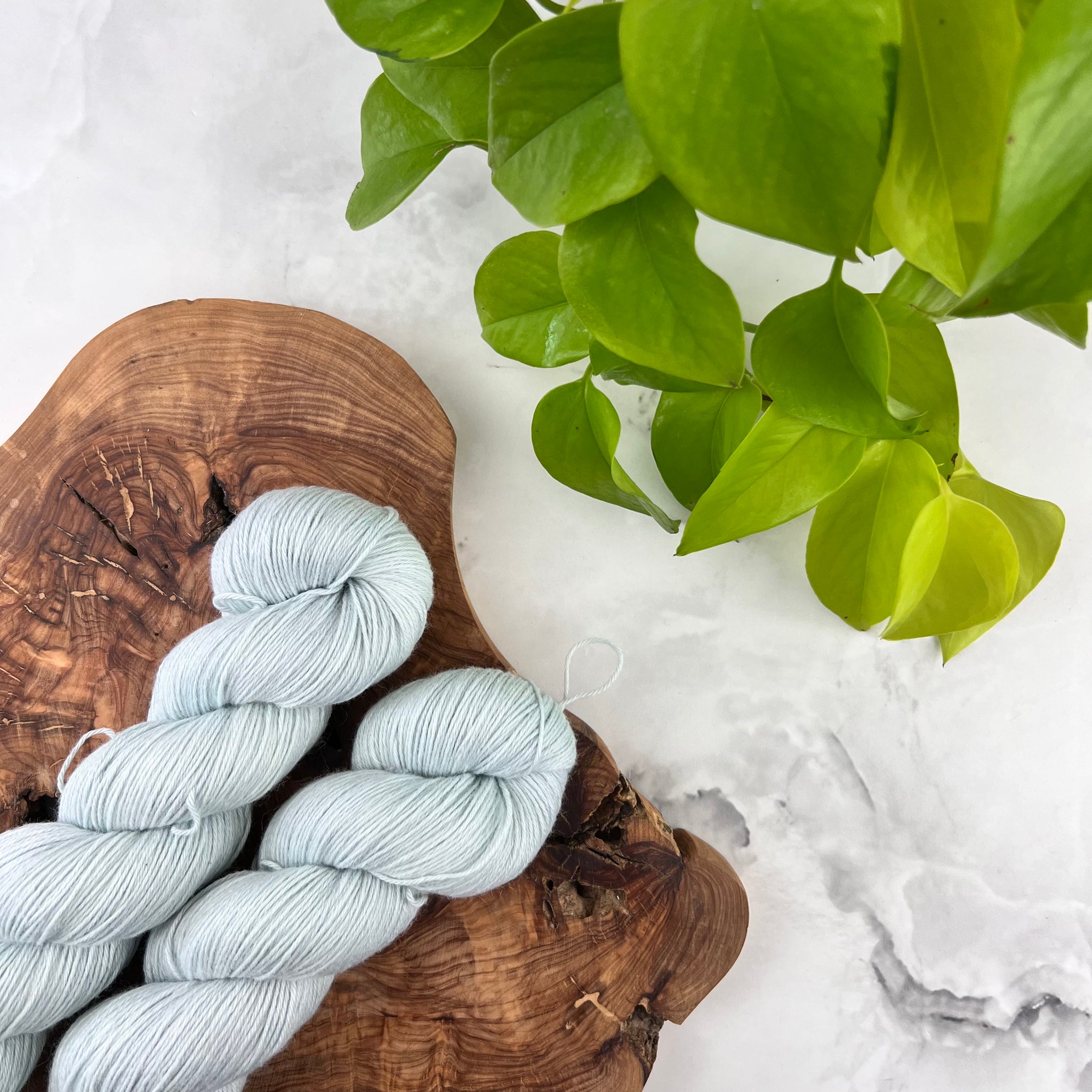 Livide - Laine grosseur fingering SW merino/coton, prête à partir