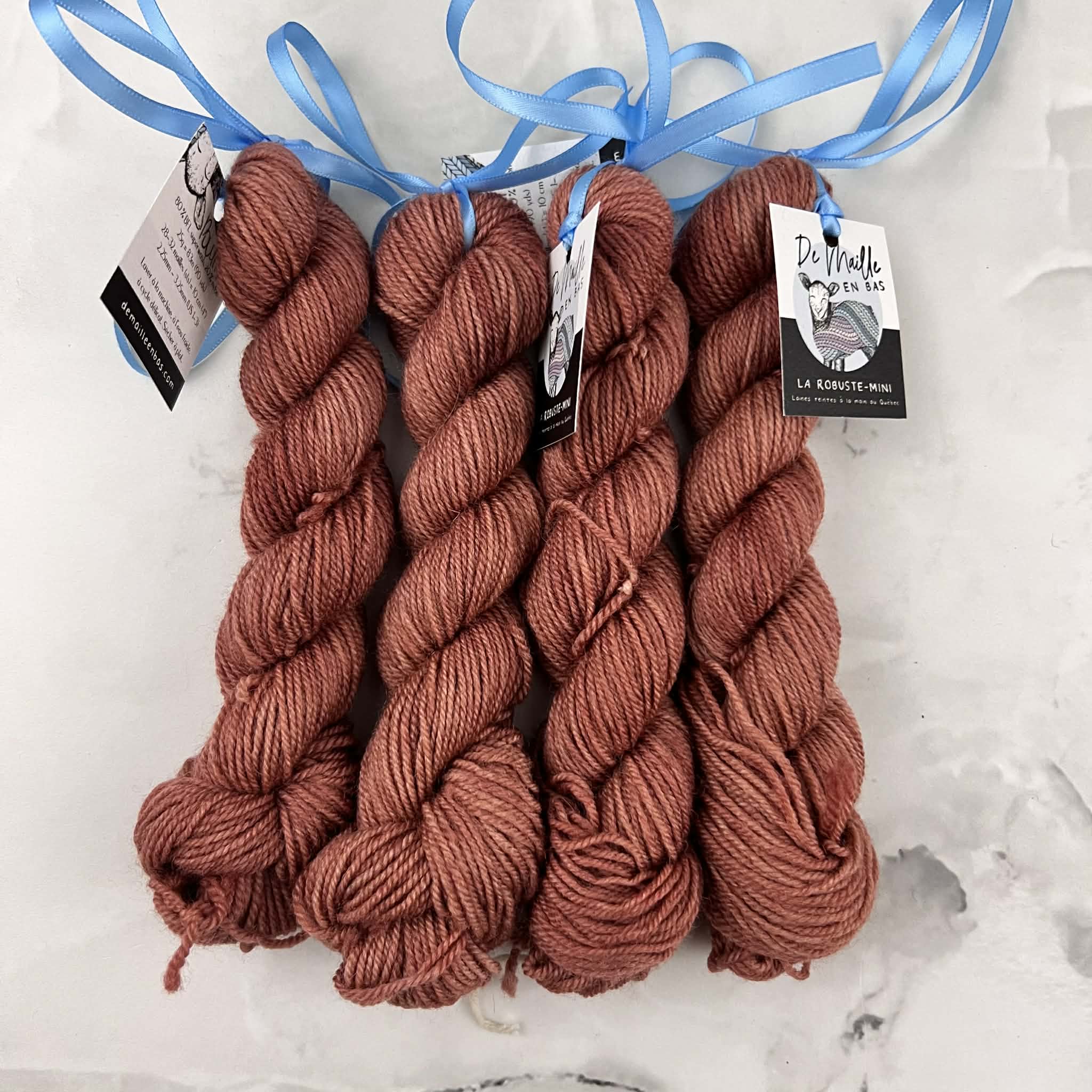 Poulin - Mini écheveaux de laine fingering SW BFL/nylon, prête à partir