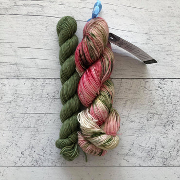Sous le gui (115g) + Cactus (35g) - Ensemble de laine pour bas SW merino/nylon, prête à partir